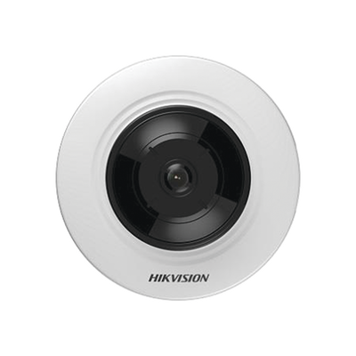Videovigilancia