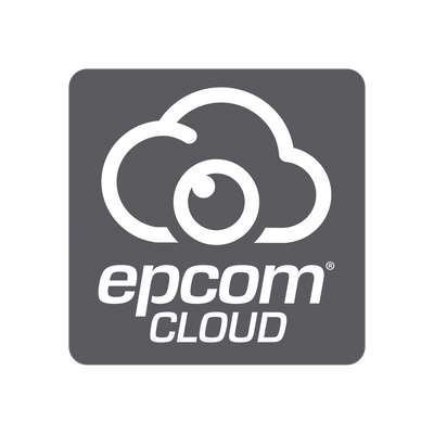 Videovigilancia