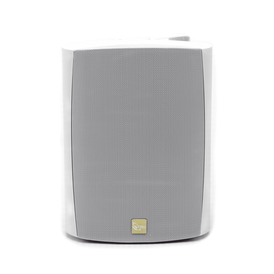 Altavoz de Montaje en Superficie / 2 Vías / 70V/100V / Woofer 6.5 in / IP66 / Soporte 120°
