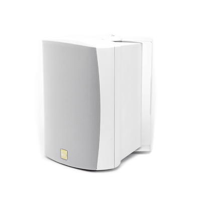 Altavoz de Montaje en Superficie / 2 Vías / 70V/100V / Woofer 6.5 in / IP66 / Soporte 120°