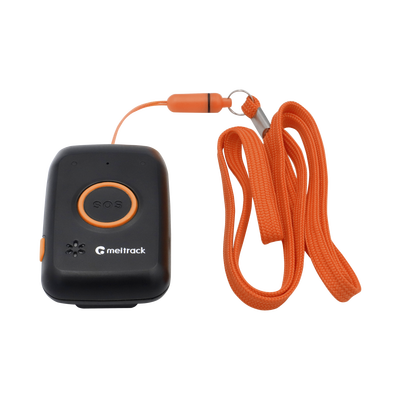 IoT / GPS / Telemática y Señalización Audiovisual