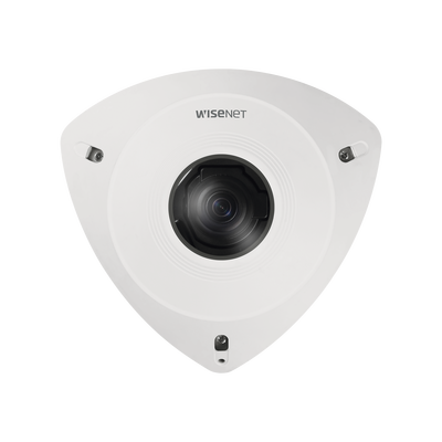 Videovigilancia