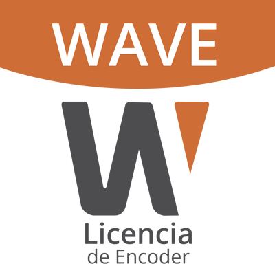 Videovigilancia