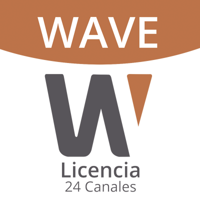 Videovigilancia