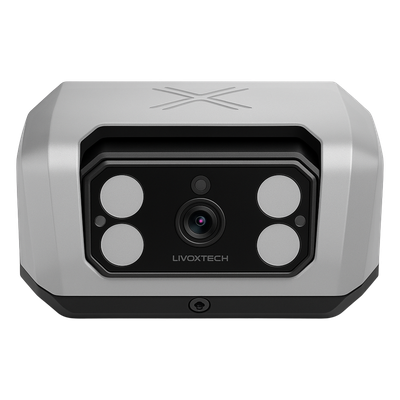 Videovigilancia