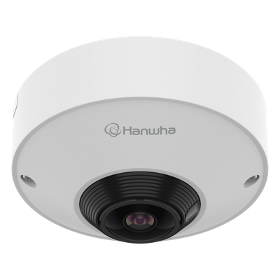 Videovigilancia
