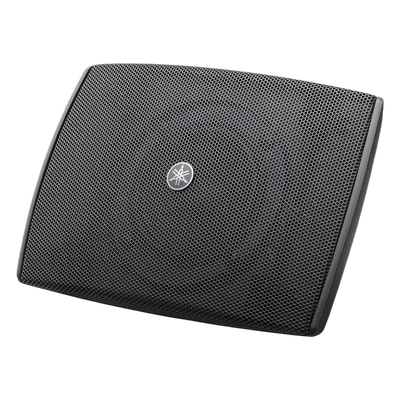 Audio y Video Profesional