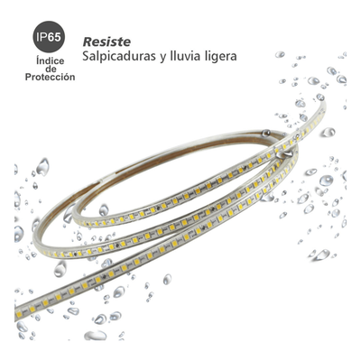 Manguera LED / 50 m / 164 ft / IP65 / Blanco / 120° / 100 cm corte