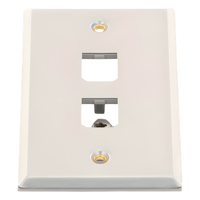 Placa de Pared Vertical / Acero Inoxidable Grado 304 / 2 Puertos Mini-Com / 2.75 x 4.5 pulgadas