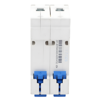 Interruptor Termomagnético Riel DIN / 2 Polos / 63 A / 415 Vca / 6 kA / -40 °C a 70 °C