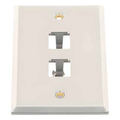 Placa de Pared Vertical / Acero Inoxidable Grado 304 / 2 Puertos Mini-Com / 2.75 x 4.5 pulgadas